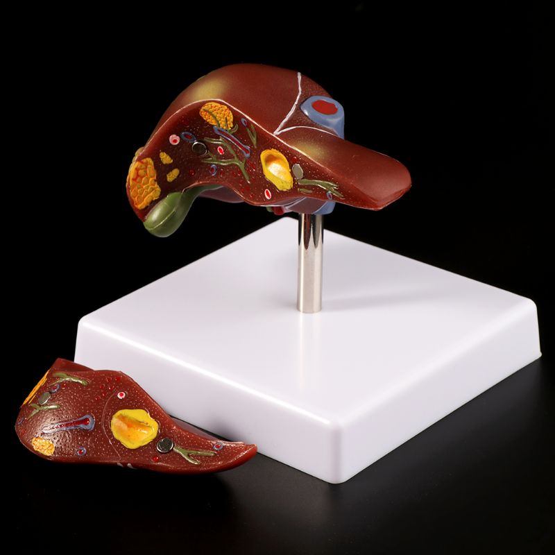 Medical Lab Design - Лабораторное оборудование, лабораторное оборудование, патологическая анатомическая